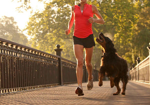 5 Tips For Running With Your Dog