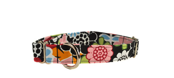 No Buckle Adjustable Dog Collar