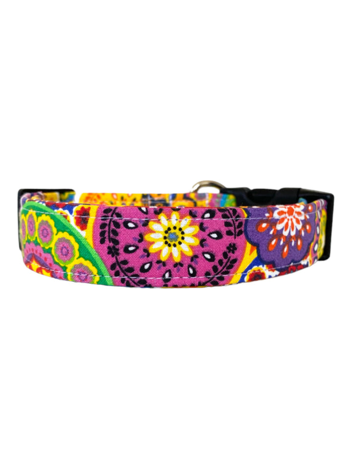 Amara Dog Collar