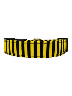 Black and Yellow Stripe Dog Collar