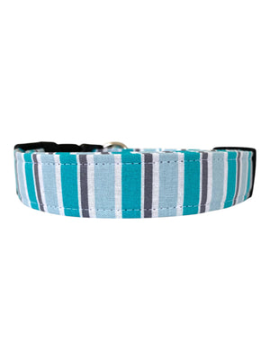 The Aspen Dog Collar