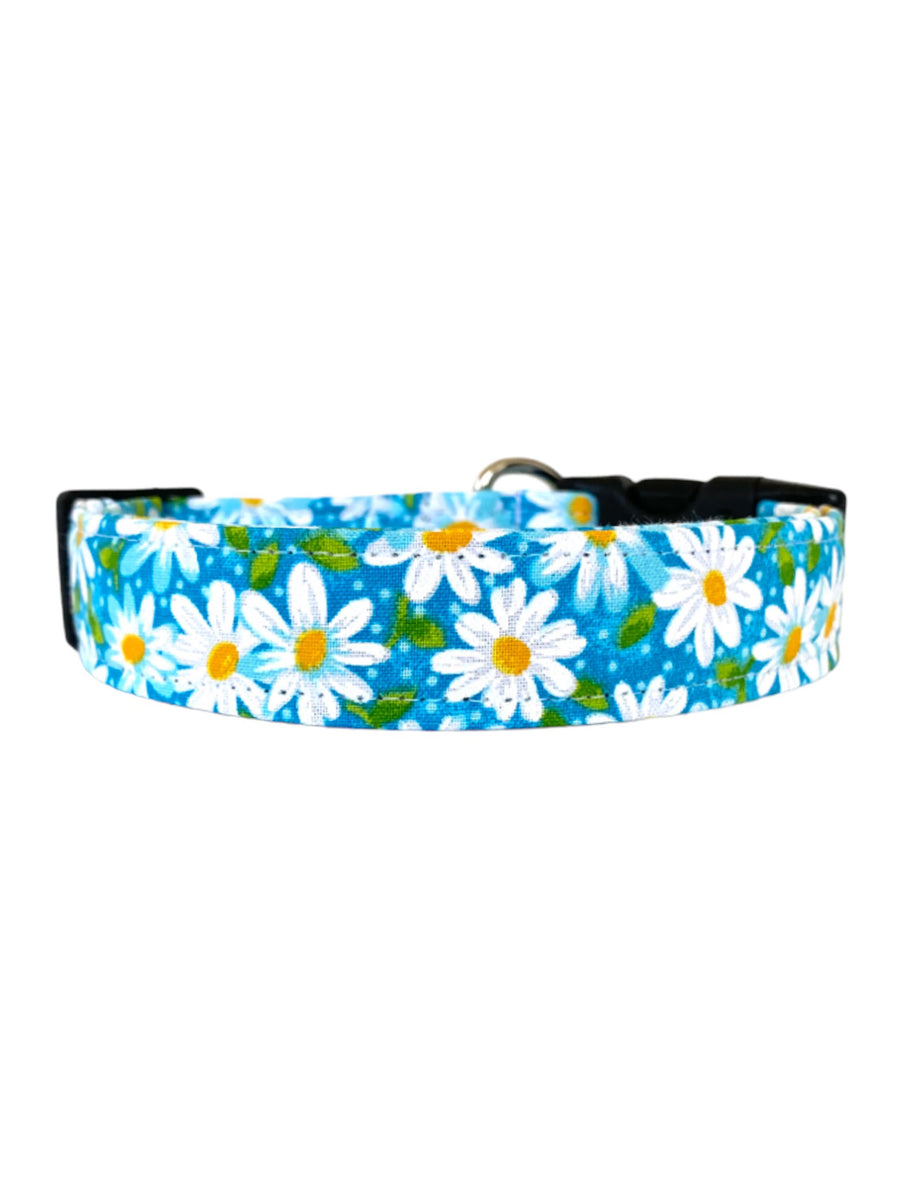 Daisies in Aqua Dog Collar