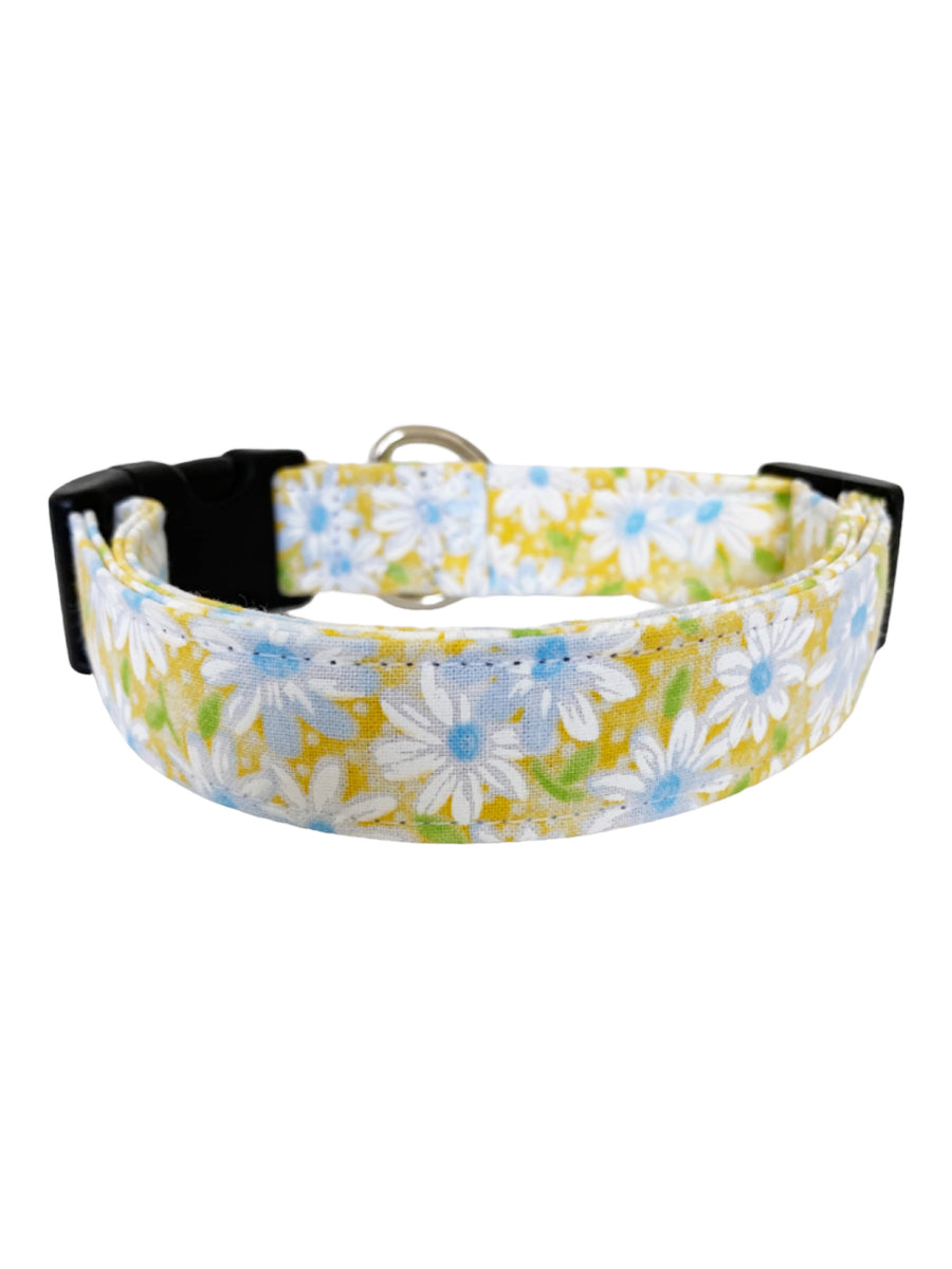 Daisies in Yellow Dog Collar