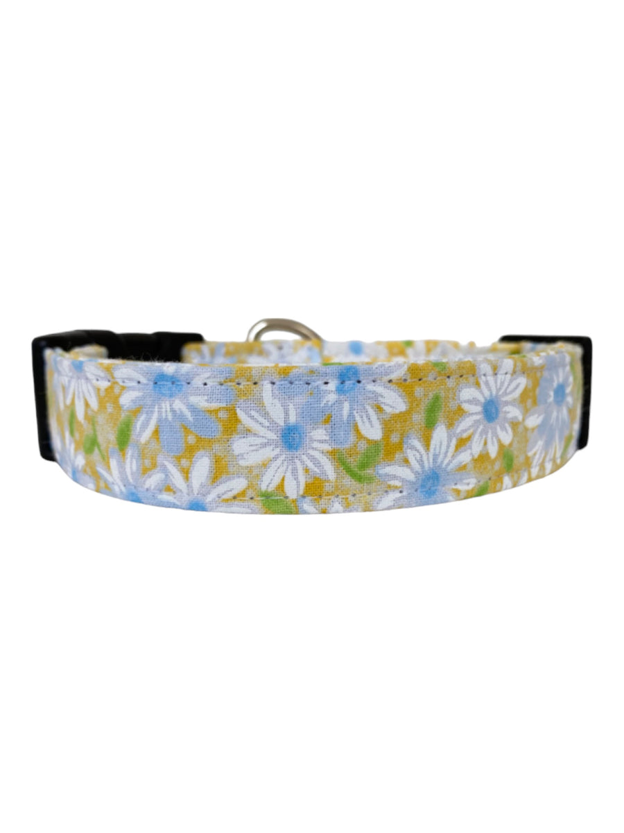 Daisies in Yellow Dog Collar