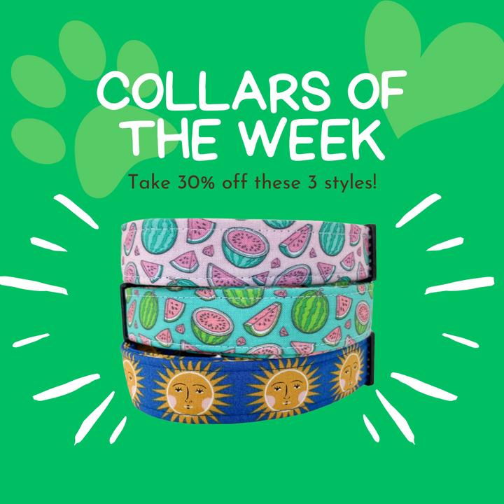 Collars of the Week