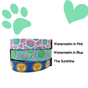 Collars of the Week