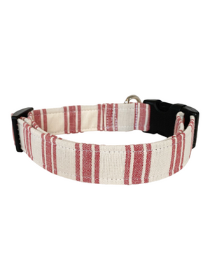 Buddy Dog Collar