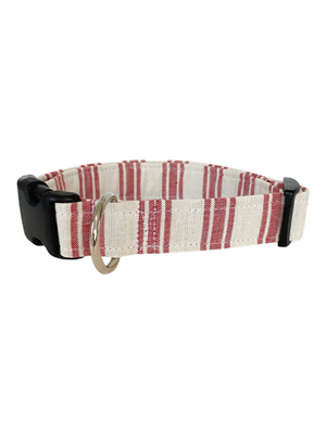 Buddy Dog Collar
