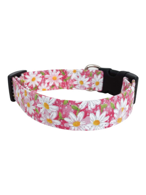 Pink Daisy Dog Collar