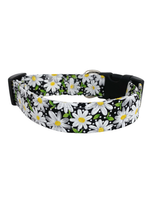 Black Daisy Dog Collar