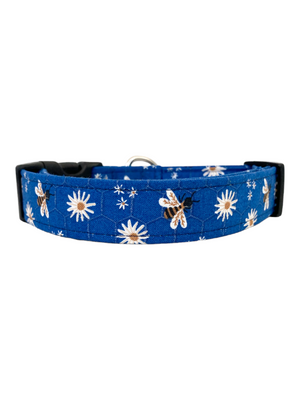 Phoenix Dog Collar