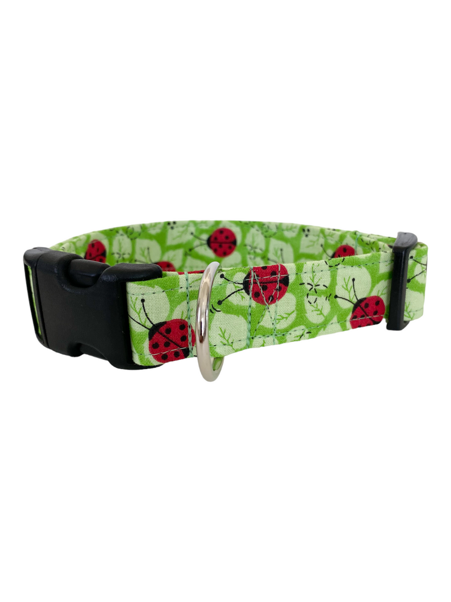 Ladybugs Dog Collar