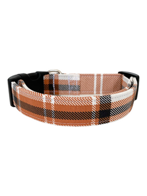 Phoenix Dog Collar