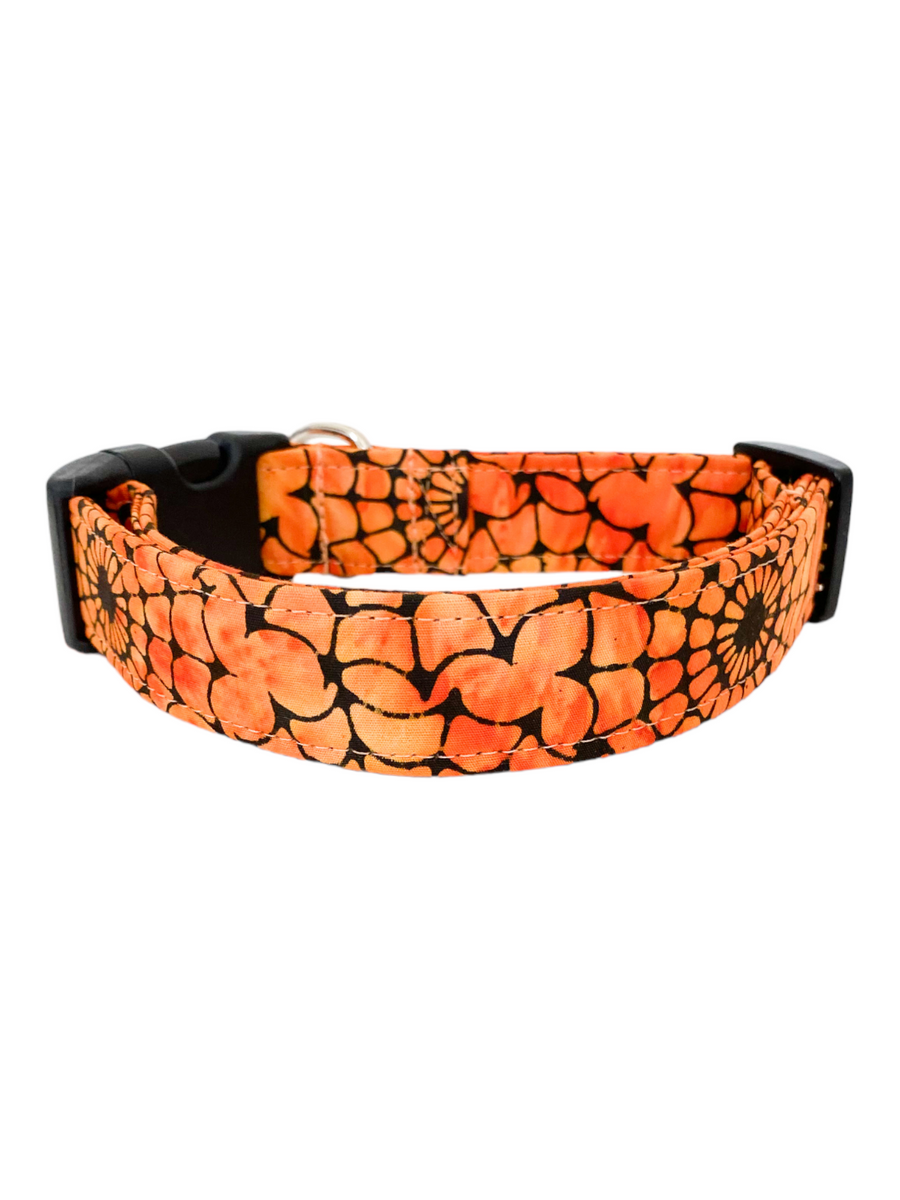 Orange Web Dog Collar