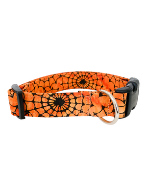 Orange Web Dog Collar