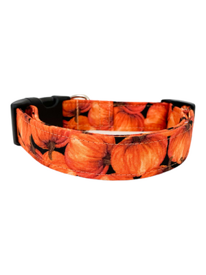 Orange Pumpkins Dog Collar