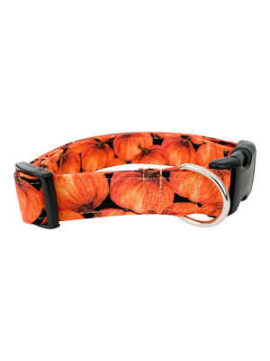 Orange Pumpkins Dog Collar