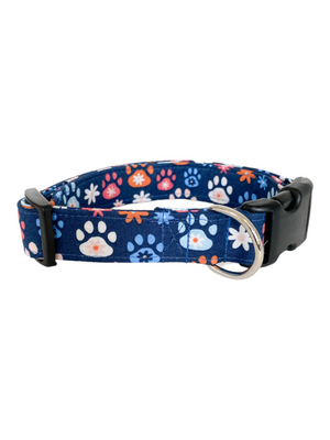 Baxter Dog Collar