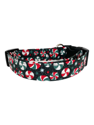 Paloma Dog Collar