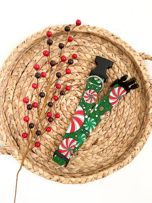 Pinwheels Dog Collar