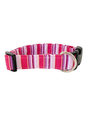 The Smitten Dog Collar