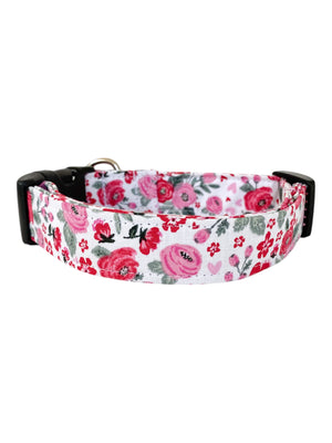 Forget-Me-Not Dog Collar