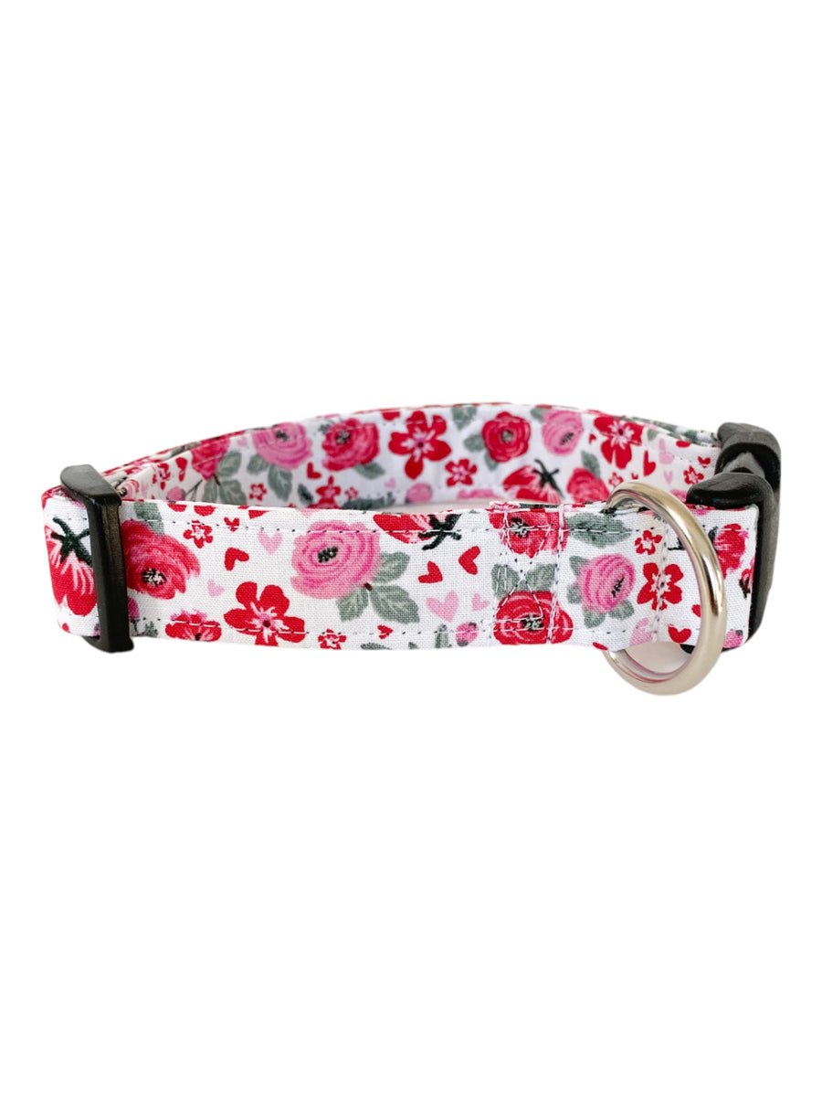 Forget-Me-Not Dog Collar