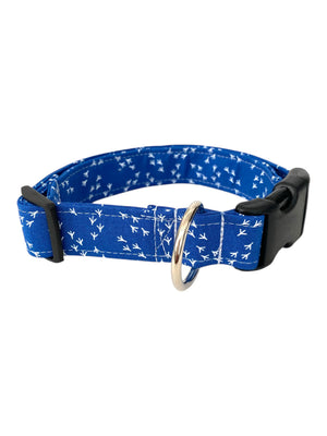 The Chicken Scratch Dog Collar