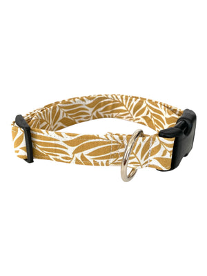 The Saffron Dog Collar