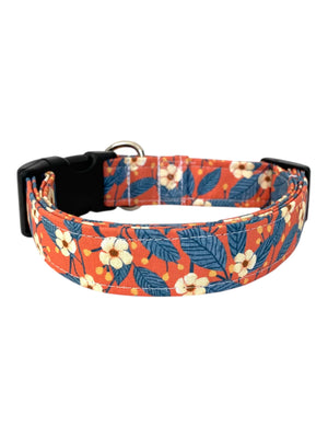 The Sunset Dog Collar