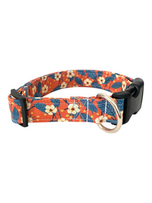The Sunset Dog Collar