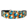 The Nova Dog Collar