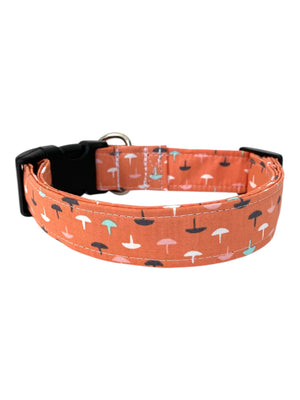 The Luna Dog Collar