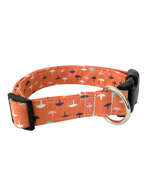 The Luna Dog Collar