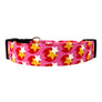 The Cosmo Dog Collar