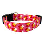 The Cosmo Dog Collar
