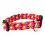 The Cosmo Dog Collar