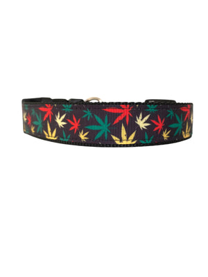 Mary Jane Dog Collar