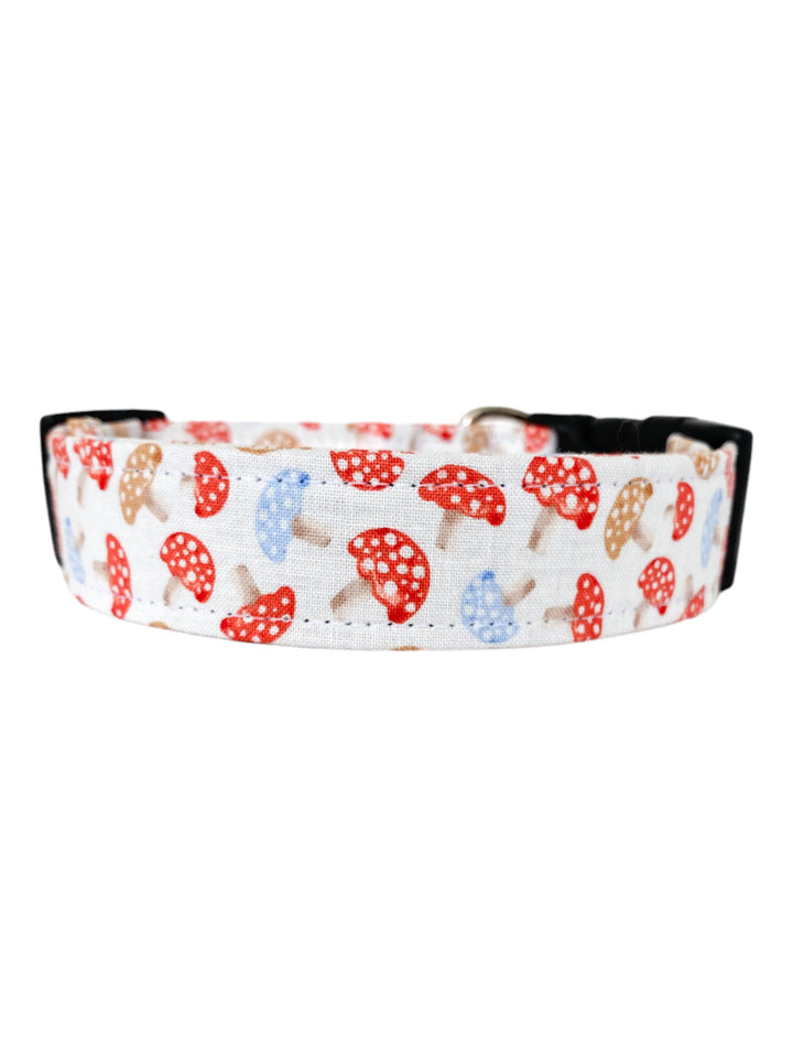 Mushrooms in Red and Blue Dog Collar