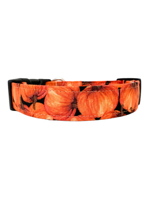 Orange Pumpkins Dog Collar