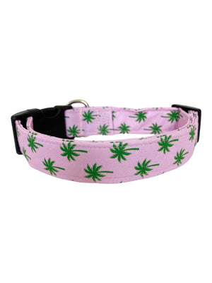 Palm Trees Dog Collar