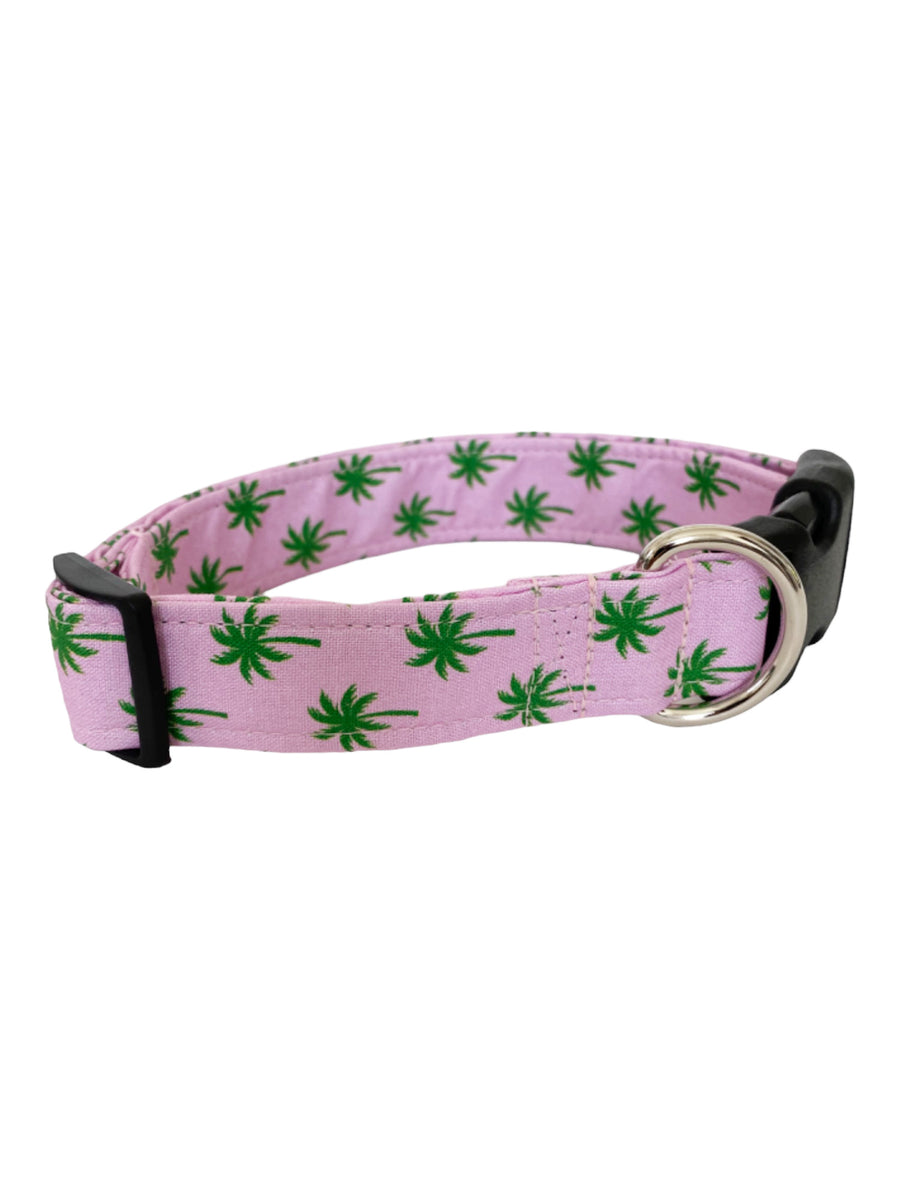 Palm Trees Dog Collar