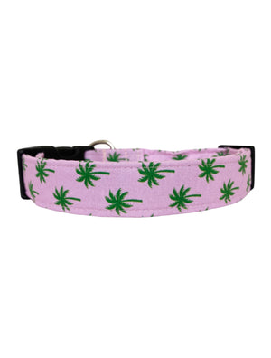 Palm Trees Dog Collar