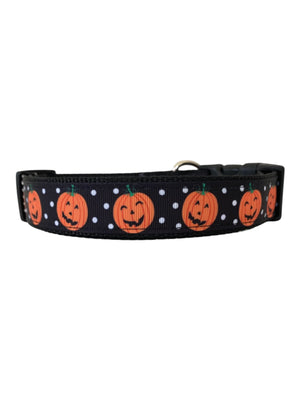Pumpkin Patch Dog Collar