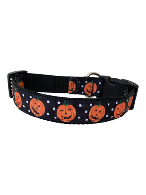 Pumpkin Patch Dog Collar