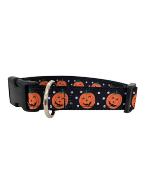 Pumpkin Patch Dog Collar