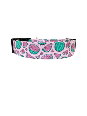 Watermelon in Pink Dog Collar