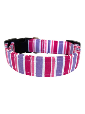 The Luna Dog Collar