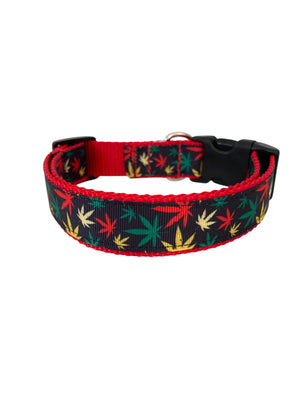 Mary Jane in Red Dog Collar