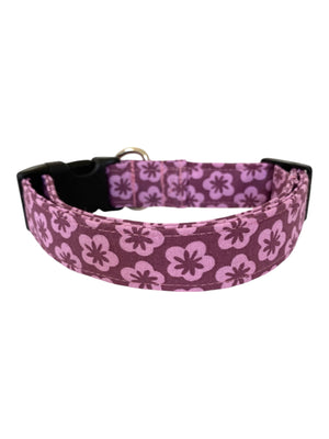 Purple Haze Dog Collar